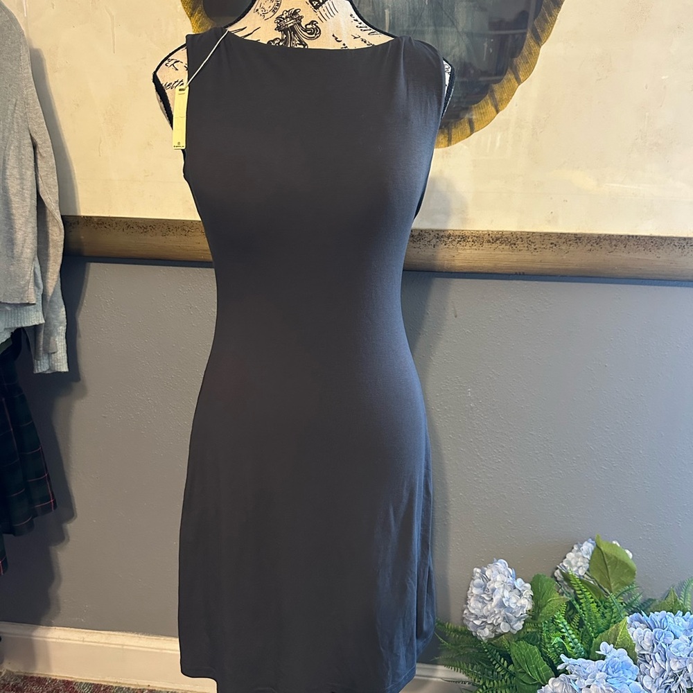 Small NWT dr as by OGL